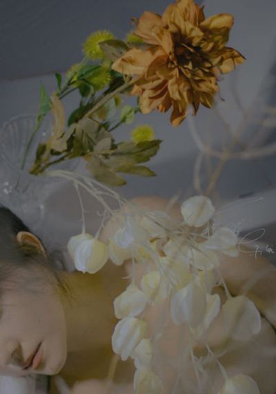 范冰冰的苹果
